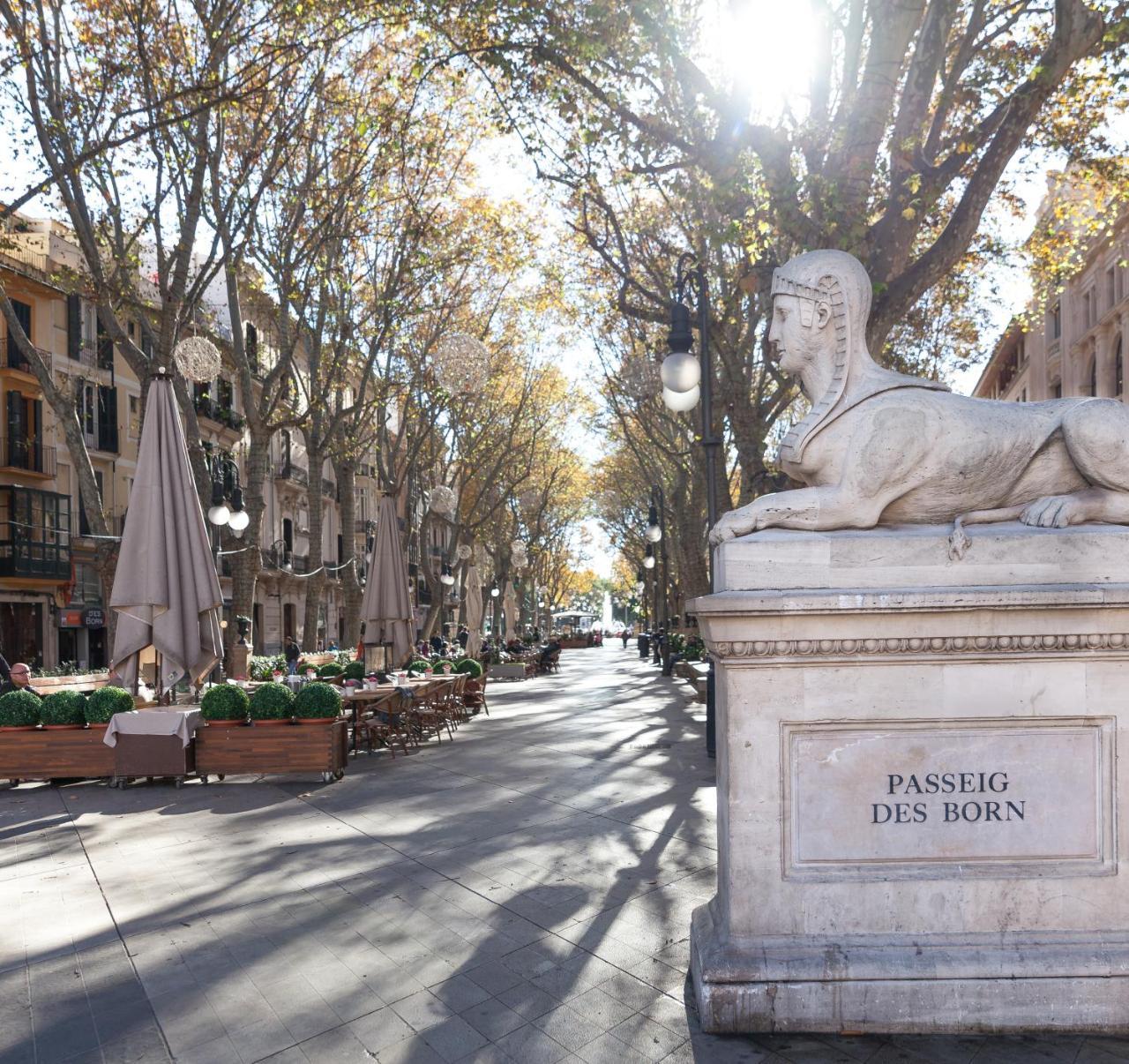 Fil 4* Palma